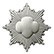 Girl Scout Silver Award Girl Scout Silver Award pin